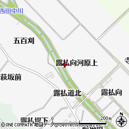 宮城県仙台市泉区西田中露払向河原上2周辺の地図