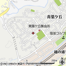 宮城県塩竈市青葉ケ丘5-16周辺の地図