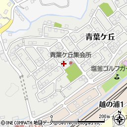 宮城県塩竈市青葉ケ丘3-5周辺の地図