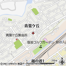 宮城県塩竈市青葉ケ丘21-9周辺の地図