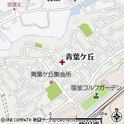 宮城県塩竈市青葉ケ丘18-2周辺の地図