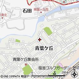 宮城県塩竈市青葉ケ丘24-4周辺の地図