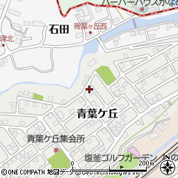 宮城県塩竈市青葉ケ丘24-5周辺の地図