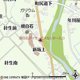 宮城県仙台市泉区根白石新坂上23周辺の地図
