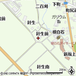 宮城県仙台市泉区根白石針生前周辺の地図