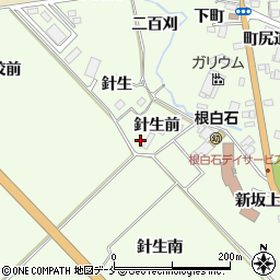 宮城県仙台市泉区根白石（針生前）周辺の地図