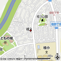 早稲田教育ゼミナール　泉桂校周辺の地図