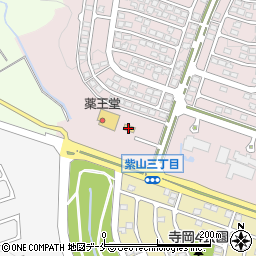 セブンイレブン仙台紫山４丁目店周辺の地図