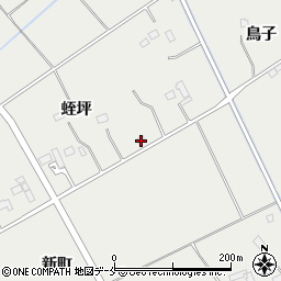 宮城県東松島市矢本蛭坪204周辺の地図