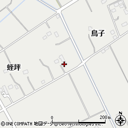 宮城県東松島市矢本蛭坪215周辺の地図