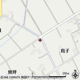 宮城県東松島市矢本蛭坪209周辺の地図