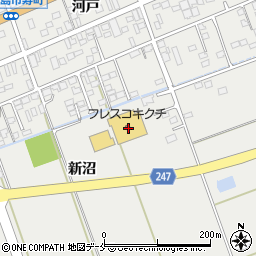 宮城県東松島市矢本新沼184周辺の地図