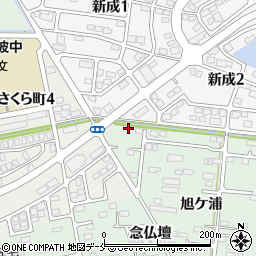 宮城県石巻市渡波旭ケ浦176-4周辺の地図