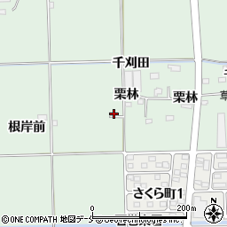 宮城県石巻市渡波根岸前219-5周辺の地図