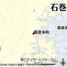 宮城県石巻市湊立石64周辺の地図