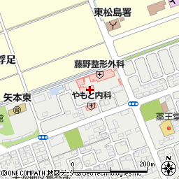 宮城県東松島市矢本大溜24周辺の地図