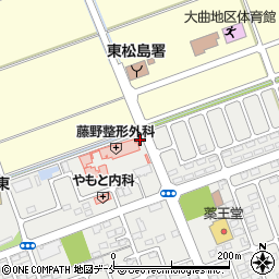 宮城県東松島市矢本大溜25周辺の地図