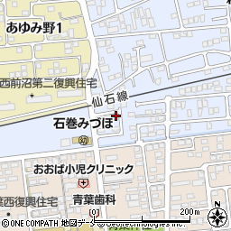 宮城県石巻市蛇田新下前沼158-11周辺の地図