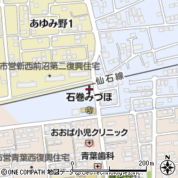 宮城県石巻市蛇田新下前沼162周辺の地図