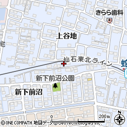 宮城県石巻市蛇田新下前沼34-1周辺の地図