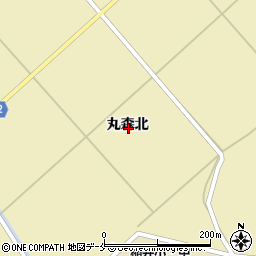 宮城県石巻市真野丸森北周辺の地図
