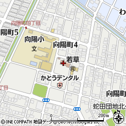 石巻市向陽地区コミュニティセンター周辺の地図