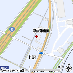 宮城県石巻市蛇田新沼向前周辺の地図