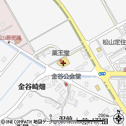 薬王堂大崎松山店周辺の地図