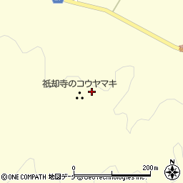 祇却寺のコウヤマキ周辺の地図