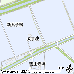 宮城県登米市米山町犬子松周辺の地図