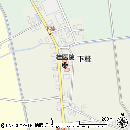 桂医院周辺の地図