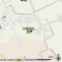 山形県鶴岡市斎藤川原林俣88周辺の地図