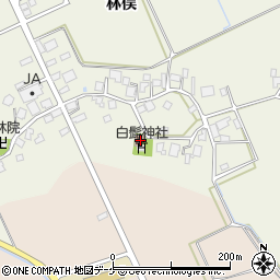 山形県鶴岡市斎藤川原林俣75周辺の地図