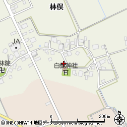 山形県鶴岡市斎藤川原林俣42周辺の地図