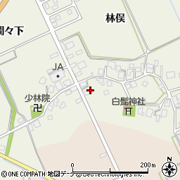 山形県鶴岡市斎藤川原林俣27周辺の地図