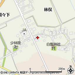 山形県鶴岡市斎藤川原林俣26周辺の地図