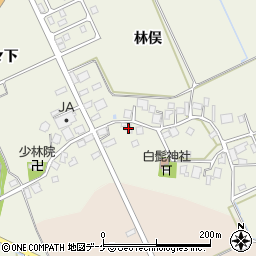 山形県鶴岡市斎藤川原林俣106周辺の地図