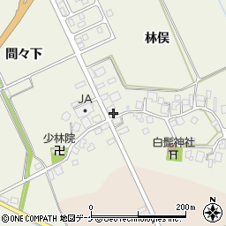 山形県鶴岡市斎藤川原林俣22周辺の地図