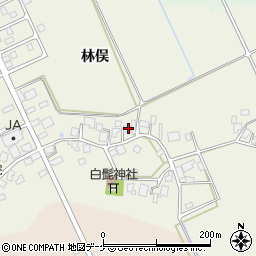 山形県鶴岡市斎藤川原林俣46周辺の地図