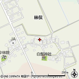 山形県鶴岡市斎藤川原林俣61周辺の地図