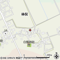 山形県鶴岡市斎藤川原林俣85周辺の地図