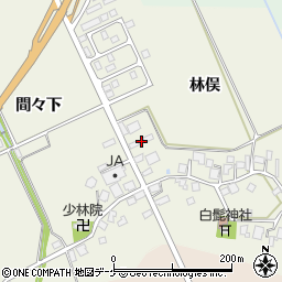 山形県鶴岡市斎藤川原林俣18周辺の地図