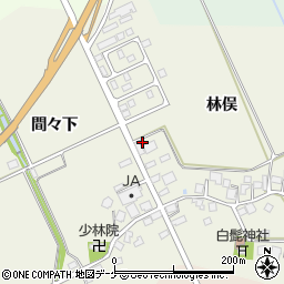 山形県鶴岡市斎藤川原林俣17周辺の地図