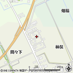 山形県鶴岡市斎藤川原林俣236周辺の地図