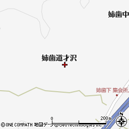 宮城県栗原市金成姉歯道才沢55周辺の地図