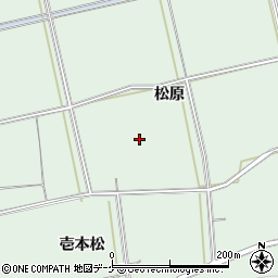 岩手県奥州市胆沢若柳松原123-2周辺の地図