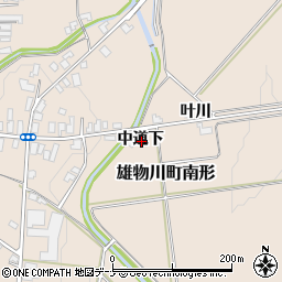 秋田県横手市雄物川町南形中道下周辺の地図