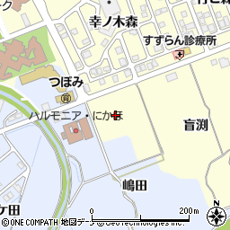 秋田県にかほ市平沢長表周辺の地図