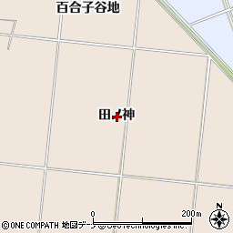 秋田県横手市平鹿町浅舞田ノ神周辺の地図