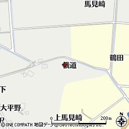 秋田県由利本荘市船岡横道周辺の地図